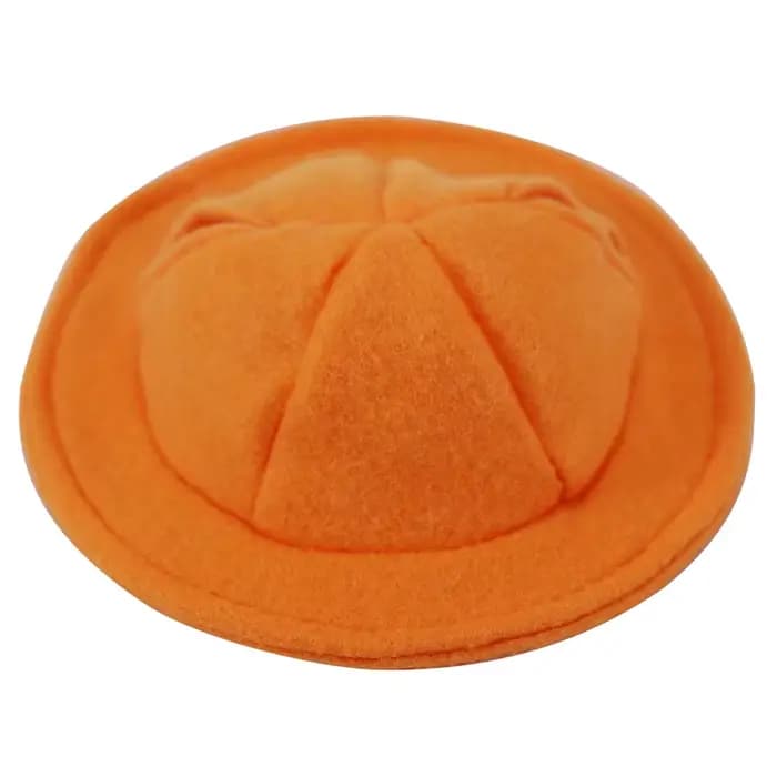 Casquette pour petits animaux, chapeau, vêtements pour animaux de compagnie, accessoires pour cochon