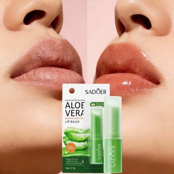 Baume à lèvres à l'aloe vera