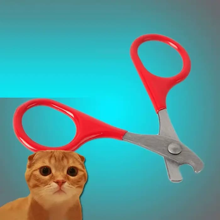 Outils de soin des griffes pour chat, ciseaux pour ongles de chat, accessoires pour animaux de compagnie, outils de nettoyage des griffes, ciseaux pour ongles, produits pour animaux de compagnie