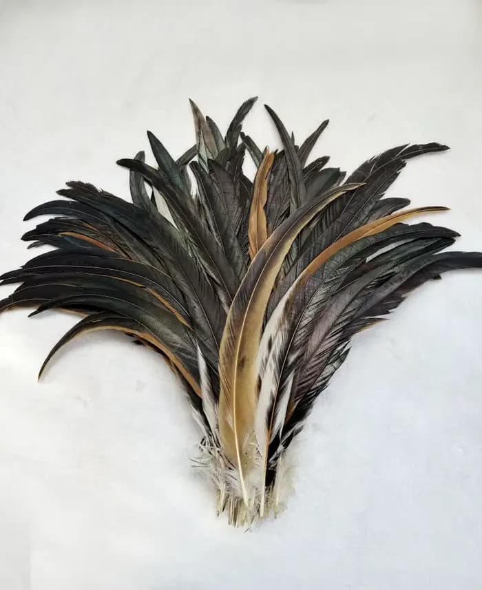 Plume de queue de coq, couleurs marron naturel, vêtements de bricolage, accessoires de bijoux, fournitures de sculpture de fête de mariage, performance