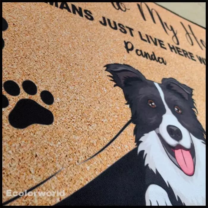 Paillasson personnalisé avec nom de chien et de chat, bienvenue à notre maison, tapis de sol personnalisé, toutes couleurs, tous les logos, accessoire de décoration pour la maison