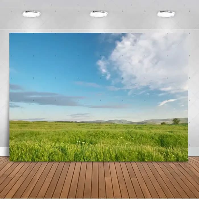 Décorations de fête sur le thème de la prairie ensoleillée, toile de fond avec paysage de montagne vert vif, accessoires de studio photo, bannière et fournitures