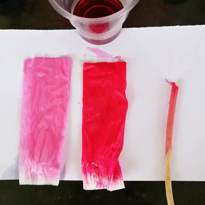 10g/20g couleur rouge tissu colorant Pigment colorant pour vêtements Textile teinture vêtements rénovation pour coton Nylon peinture acrylique