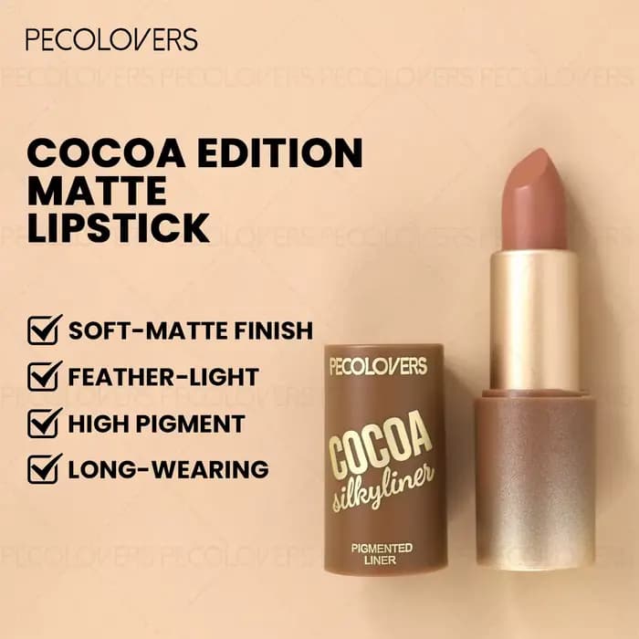 Vernis à lèvres marron mat imperméable