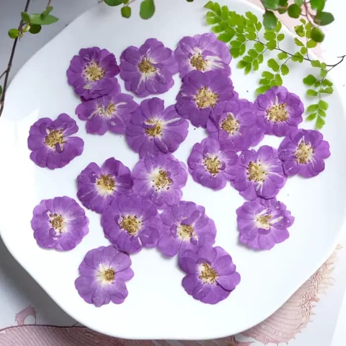 20 pièces, Têtes de fleurs de rose rouges et violettes pressées naturelles, Fleurs décoratives pour