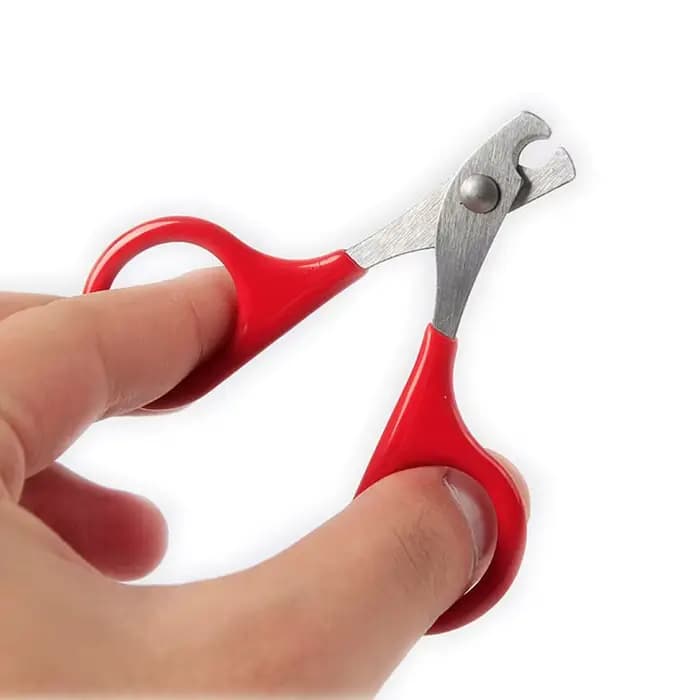 Outils de soin des griffes pour chat, ciseaux pour ongles de chat, accessoires pour animaux de compa