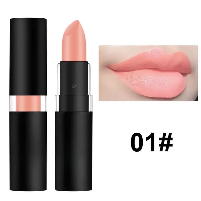 Rouge à lèvres rouge vin foncé, imperméable, facile à colorer, maquillage, rouge Sexy, mat, blanc, n
