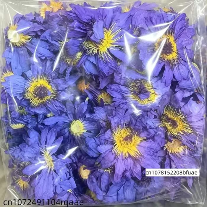 Fleurs de lotus séchées naturelles, pot-pourri de fleurs de lotus de qualité supérieure, parfum de lotus, décoration aromatique pour la maison, centre de table de mariage, ornements