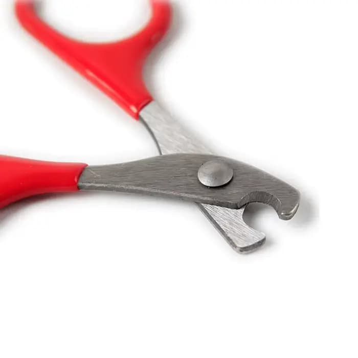 Outils de soin des griffes pour chat, ciseaux pour ongles de chat, accessoires pour animaux de compagnie, outils de nettoyage des griffes, ciseaux pour ongles, produits pour animaux de compagnie