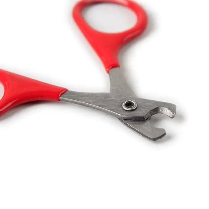 Outils de soin des griffes pour chat, ciseaux pour ongles de chat, accessoires pour animaux de compagnie, outils de nettoyage des griffes, ciseaux pour ongles, produits pour animaux de compagnie