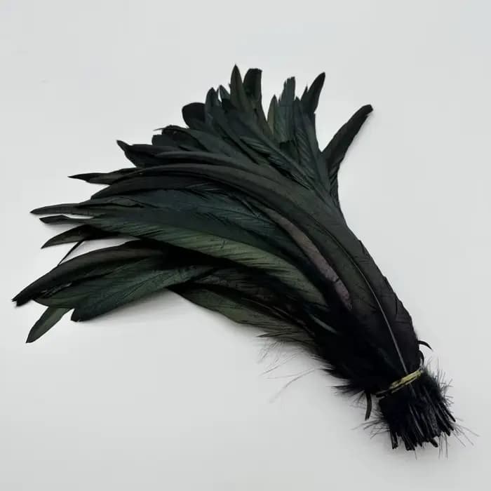 Plume de queue de coq, couleurs marron naturel, vêtements de bricolage, accessoires de bijoux, fournitures de sculpture de fête de mariage, performance