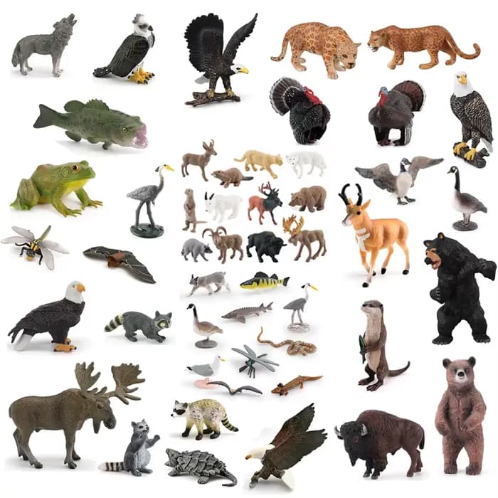 Figurines réalistes d'animaux nord-américains : dindon, aigle chauve, ours grizzly, bison, élan, raton laveur, jouet éducatif pour enfants