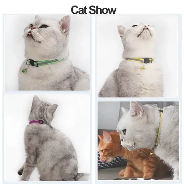 ROJECO Collier réglable avec clochette pour animal de compagnie, accessoire coloré de sécurité nocturne pour chat et chaton