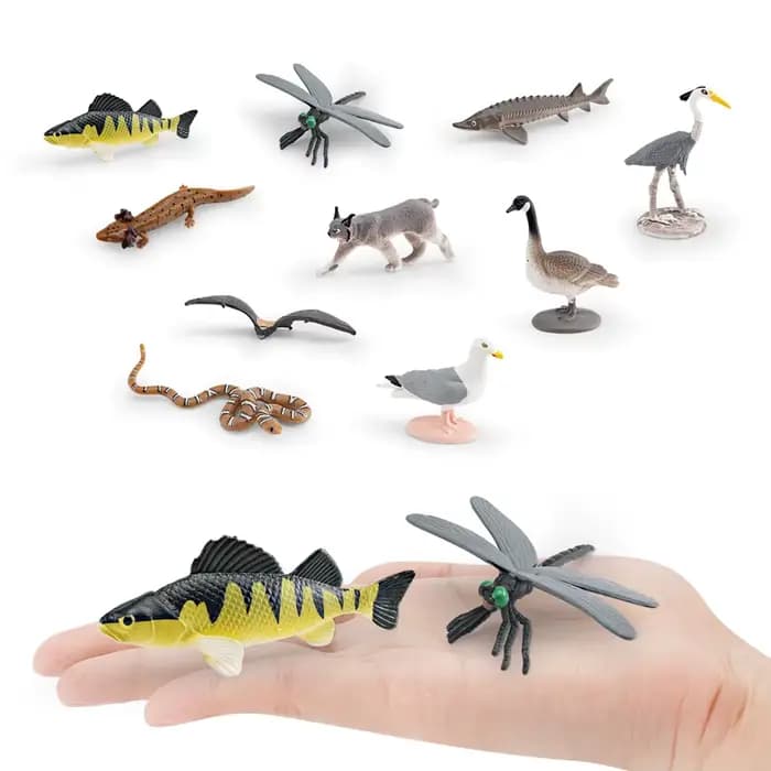Figurines réalistes d'animaux nord-américains : dindon, aigle chauve, ours grizzly, bison, élan, raton laveur, jouet éducatif pour enfants