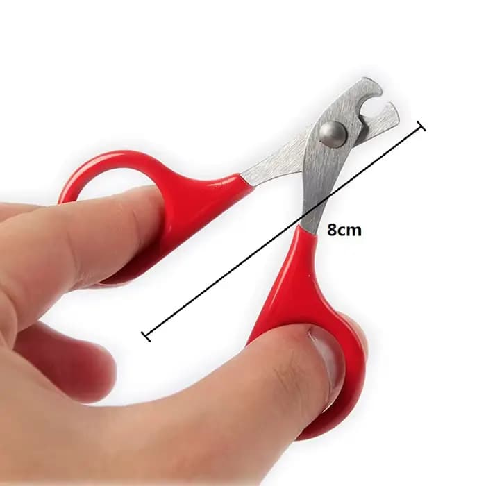 Outils de soin des griffes pour chat, ciseaux pour ongles de chat, accessoires pour animaux de compagnie, outils de nettoyage des griffes, ciseaux pour ongles, produits pour animaux de compagnie