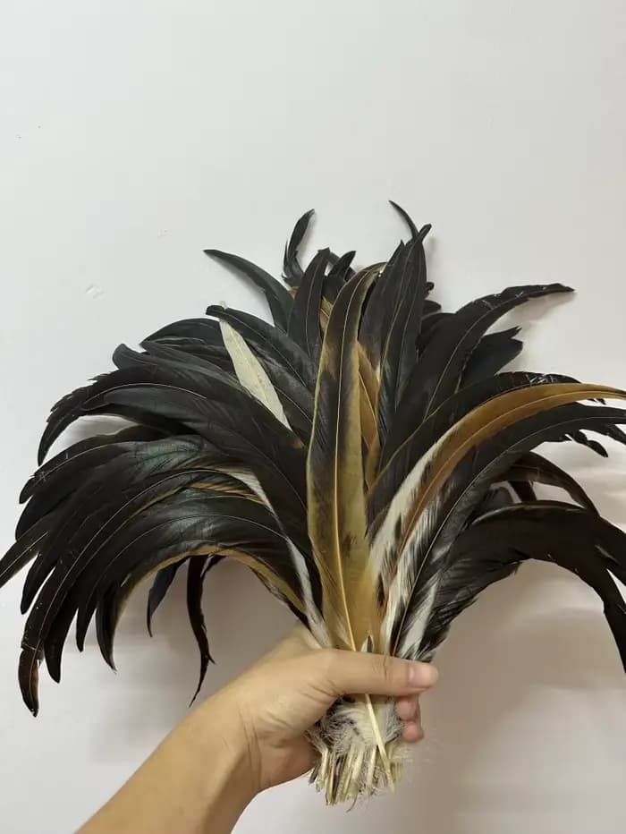 Plume de queue de coq, couleurs marron naturel, vêtements de bricolage, accessoires de bijoux, fournitures de sculpture de fête de mariage, performance
