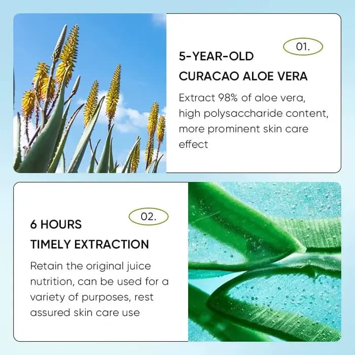 Baume à l'aloe vera pour les lèvres nourrissant