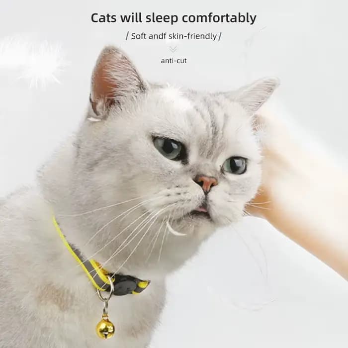 ROJECO Collier réglable avec clochette pour animal de compagnie, accessoire coloré de sécurité nocturne pour chat et chaton