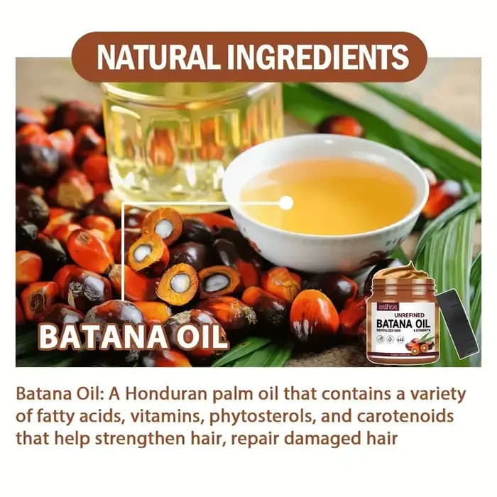 Baume nourrissant naturel pour le cuir chevelu à l'huile de Batana, renforce les cheveux faibles, favorise des cheveux plus épais, plus volumineux et plus sains, traitement capillaire quotidien à domi