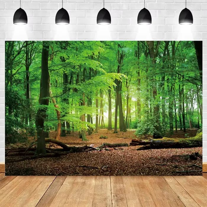 Arrière-plan de forêt de printemps, Jungle tropicale, forêt tropicale, pour photographie, Camping, aventure, anniversaire, Studio Photo