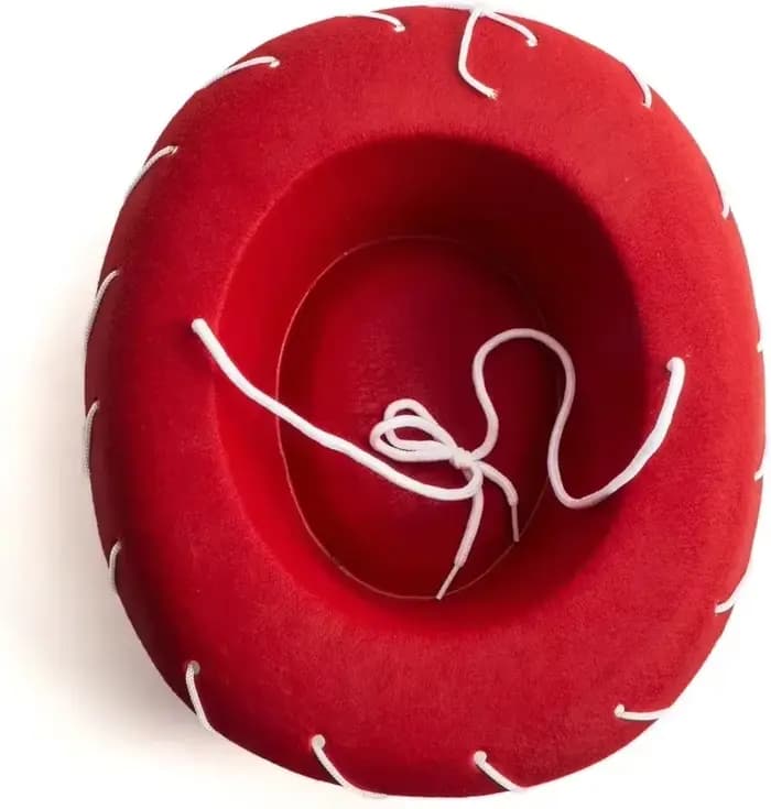 Chapeau de cowboy en feutre marron-rouge, réglable, à large bord, style western, pour sports de plein air, escalade, activités en milieu sauvage, accessoires de fête
