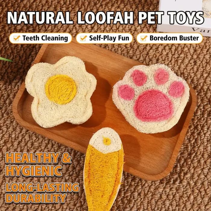 Soins dentaires Loofah naturel chat jouets à mâcher enrichissement dentition confort interactif chaton jouets sain Loofa dentaire chat jouets