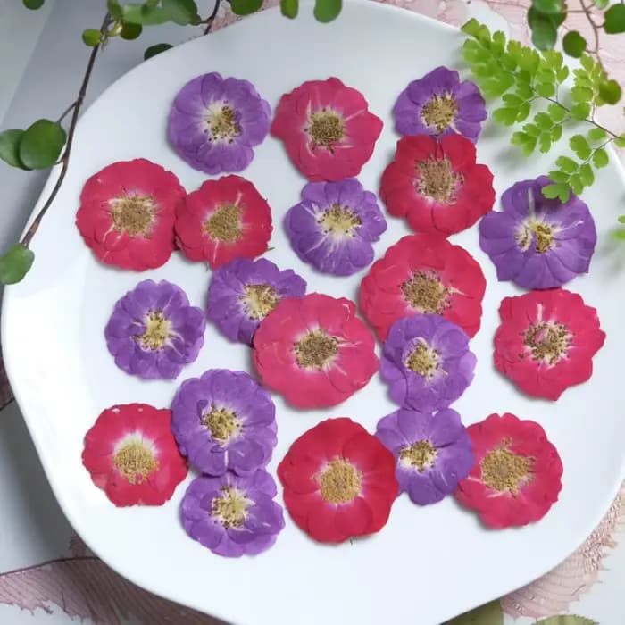20 pièces, Têtes de fleurs de rose rouges et violettes pressées naturelles, Fleurs décoratives pour DIY, cadre photo, colle, coque de téléphone, maquillage visage, décoration