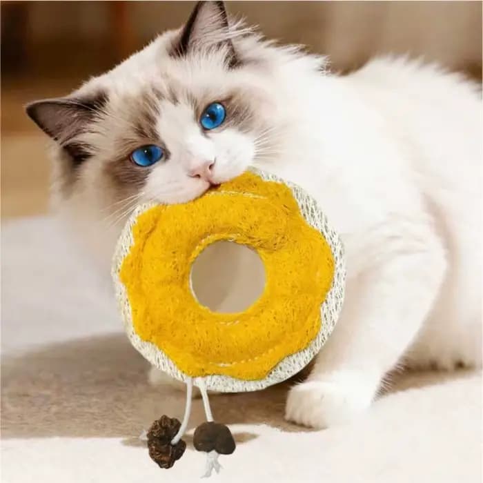 Soins dentaires Loofah naturel chat jouets à mâcher enrichissement dentition confort interactif chaton jouets sain Loofa dentaire chat jouets