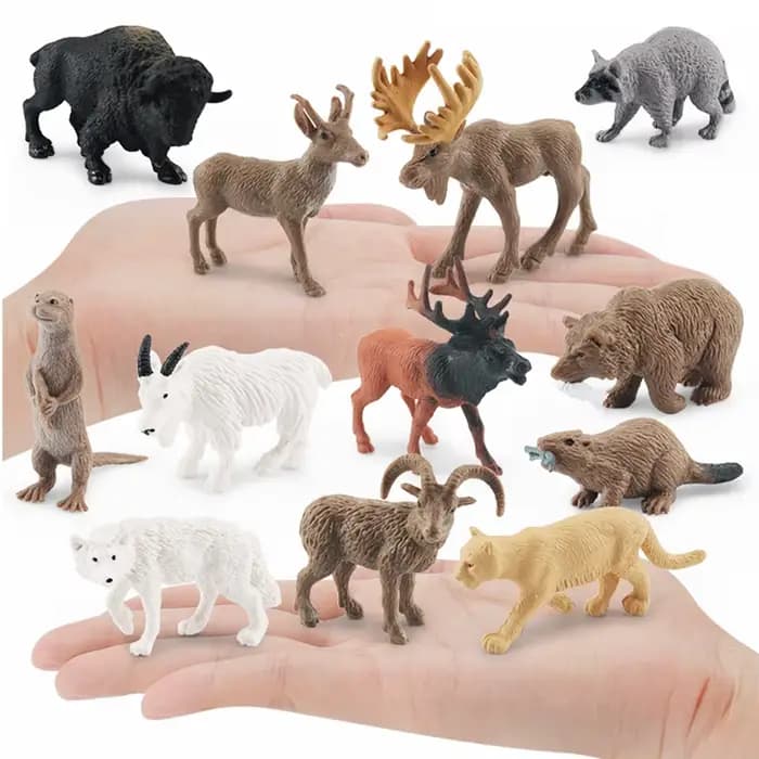 Figurines réalistes d'animaux nord-américains : dindon, aigle chauve, ours grizzly, bison, élan, raton laveur, jouet éducatif pour enfants