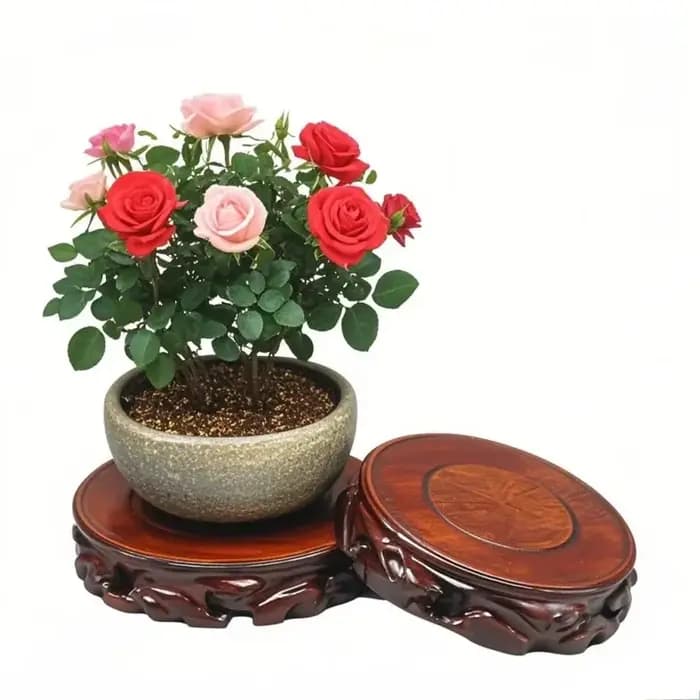 Support de Plante Rond en Bois Massif Simple, Socle Épaissi pour Pot de Fleurs, Bonsaï, Vase, Décoration d'Intérieur, Plantes Succulentes, Base de Bureau