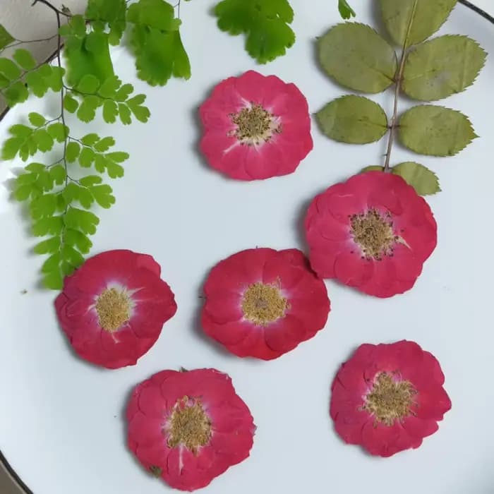 20 pièces, Têtes de fleurs de rose rouges et violettes pressées naturelles, Fleurs décoratives pour DIY, cadre photo, colle, coque de téléphone, maquillage visage, décoration