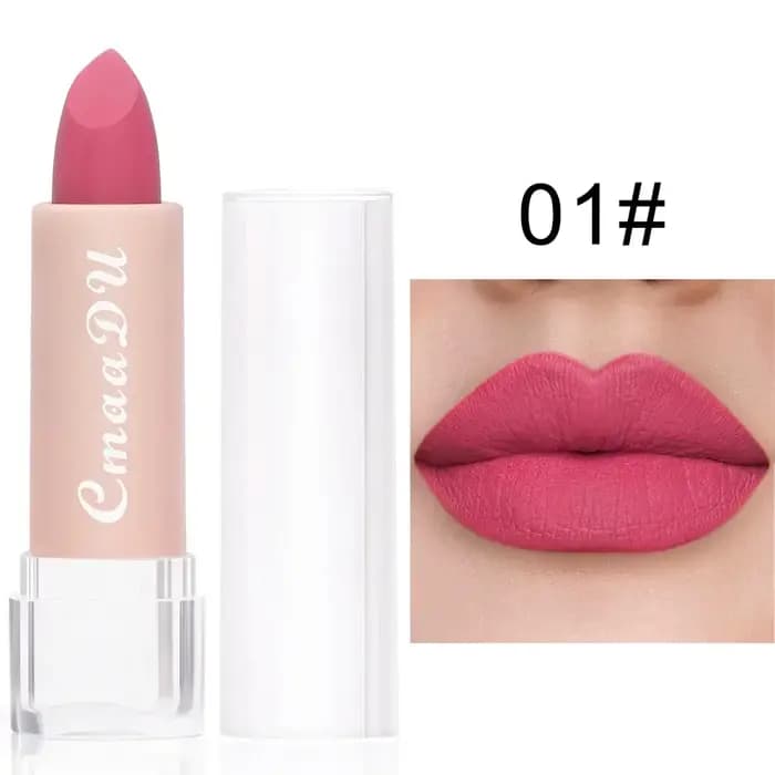 Femme Sexy 15 couleurs velours mat rouge à lèvres teinte